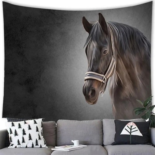 Horses brown black - horses,